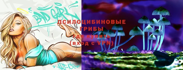 хмурый Покачи