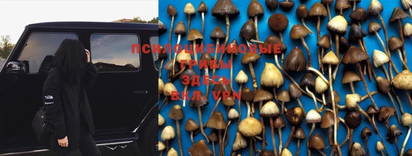 хмурый Покачи